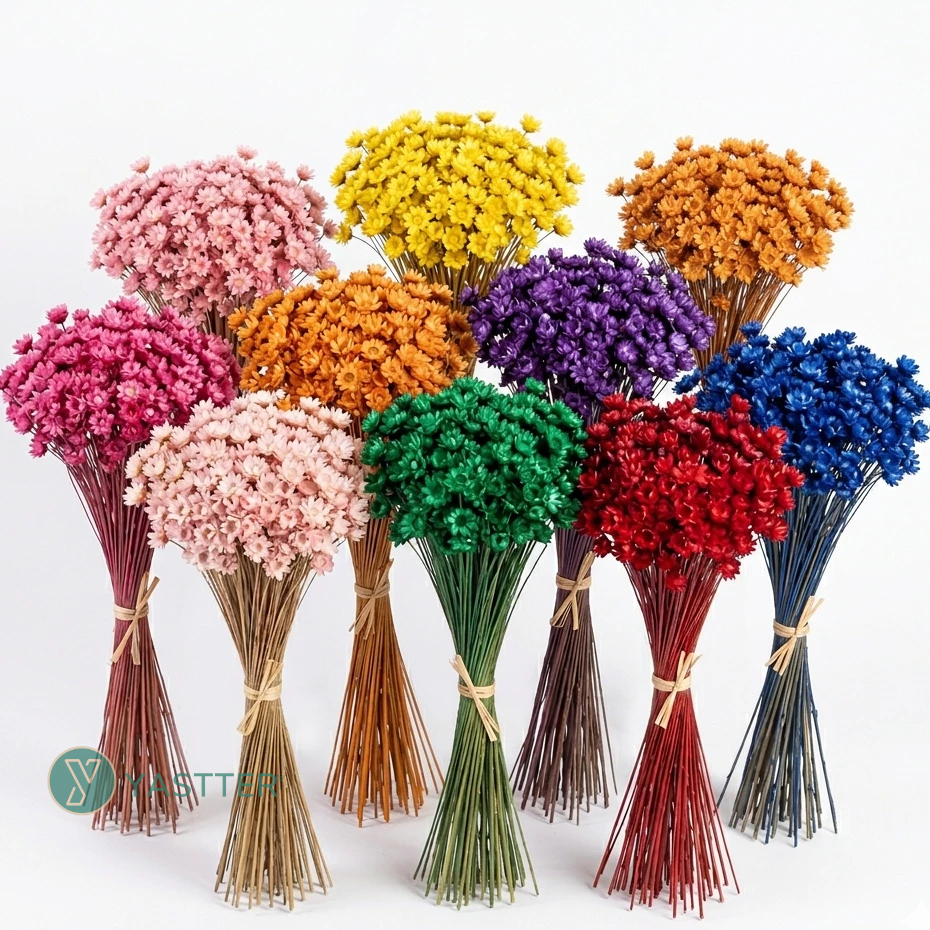 Flor Sempre Viva Premium 200 a 800 | Flores Desidratadas Para Decoração e Arranjos