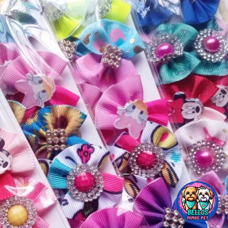 10 Laços M Lacinhos Fêmea  penteado Pet banho e tosa Pronta Entrega