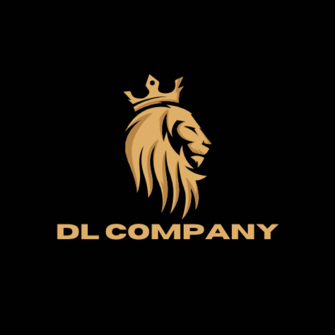 DL Companyofc