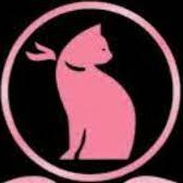 Gata Persa Moda Íntima