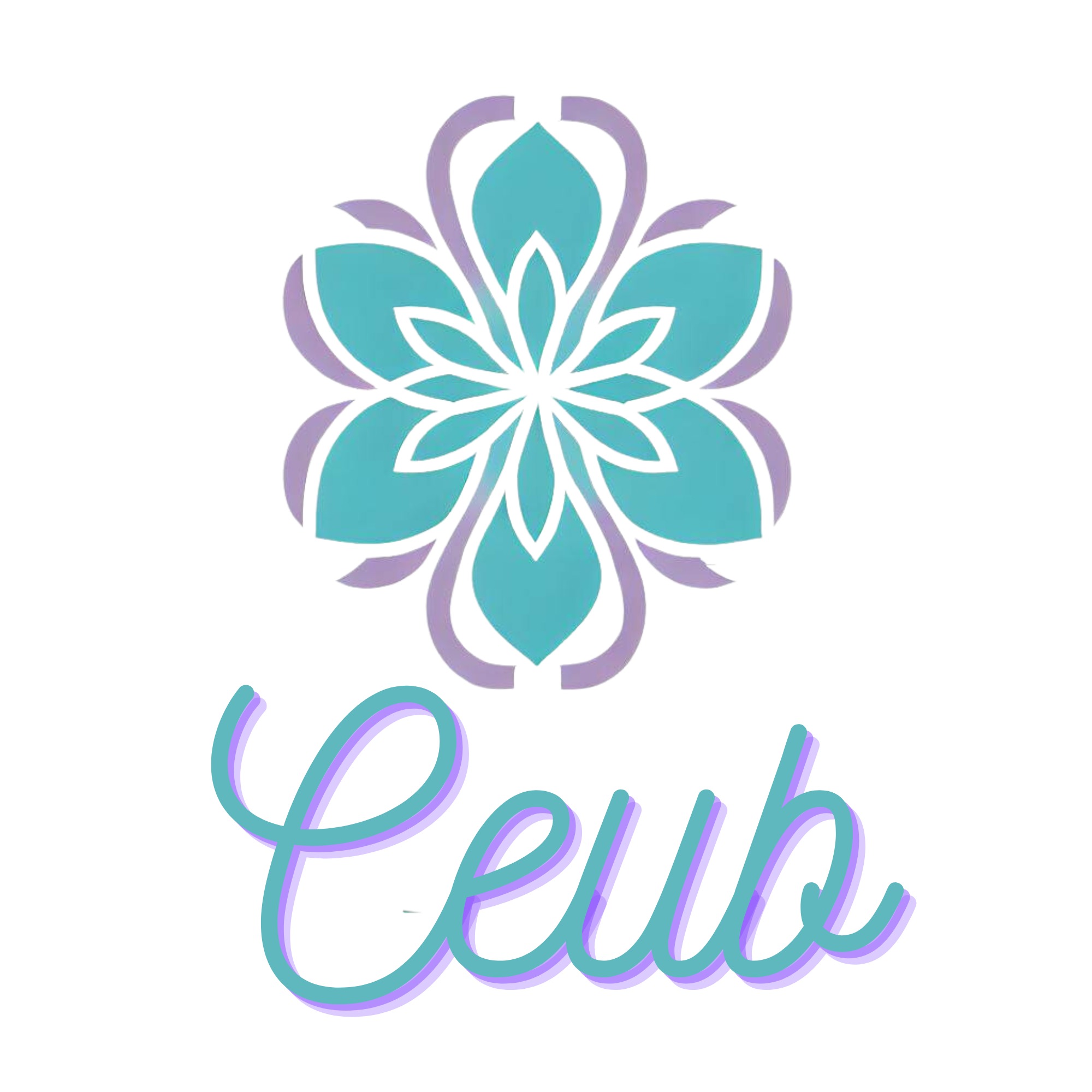 Ceub Oficial