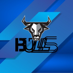 BullsFR2.0