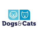 Dogs e Cats