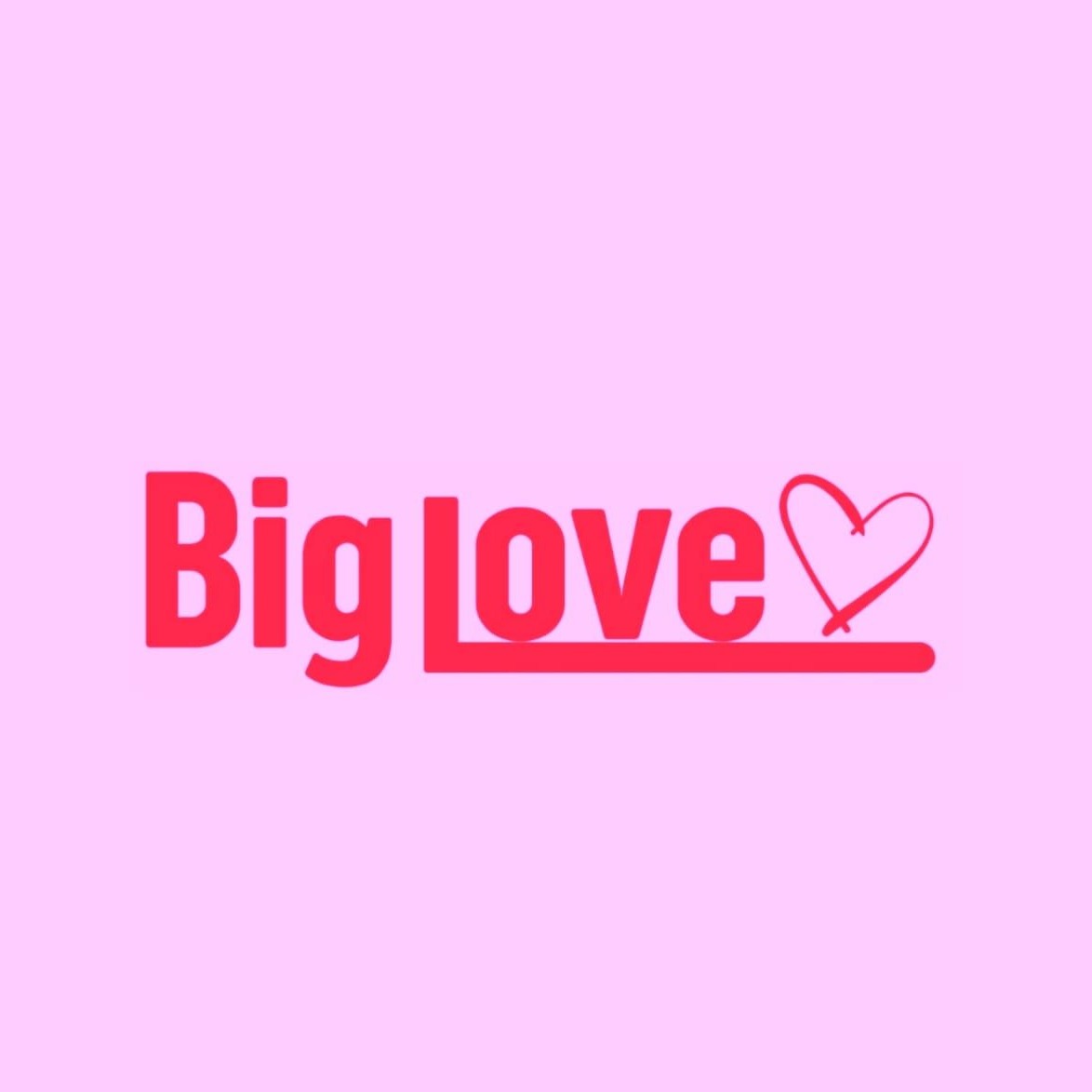 BIG LOVE ( 4 )