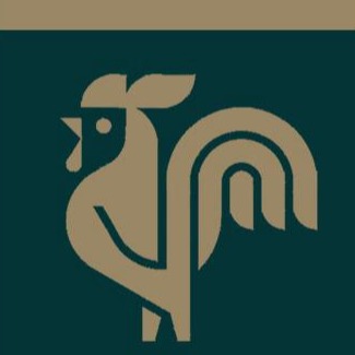 Bordados Sampaio Ltda