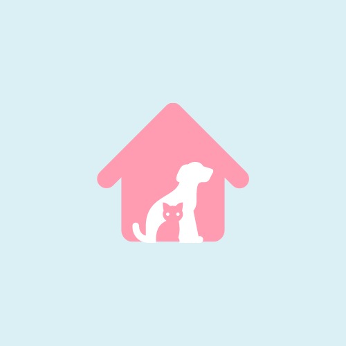 Paw Store