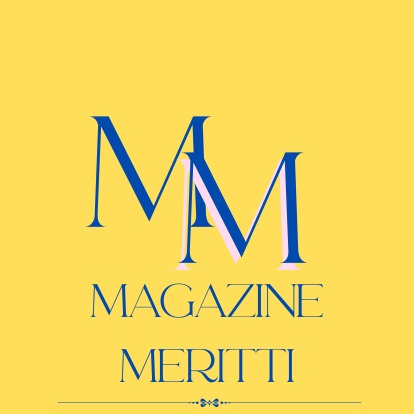 MAGAZINE MERITI LTDA
