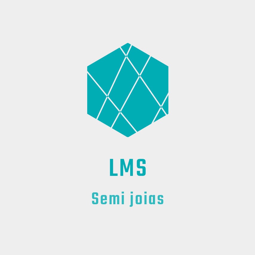 LMS Acessórios 