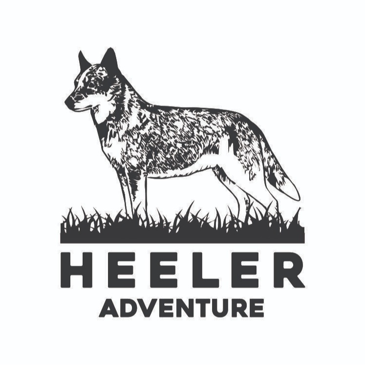 HEELER CAÇA E PESCA