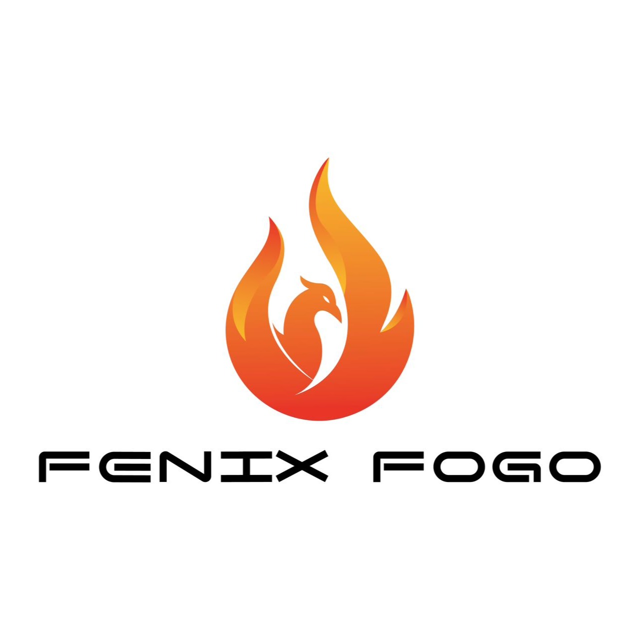 FENIX ELETRO COMERCIO LTDA