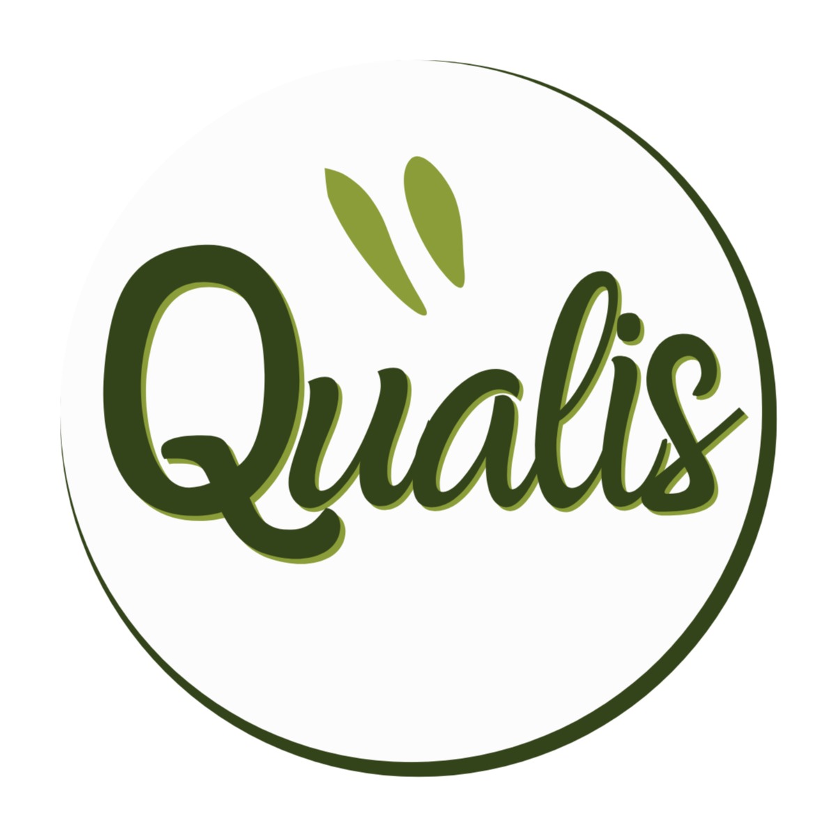 Qualis Aditivos e Ingredientes