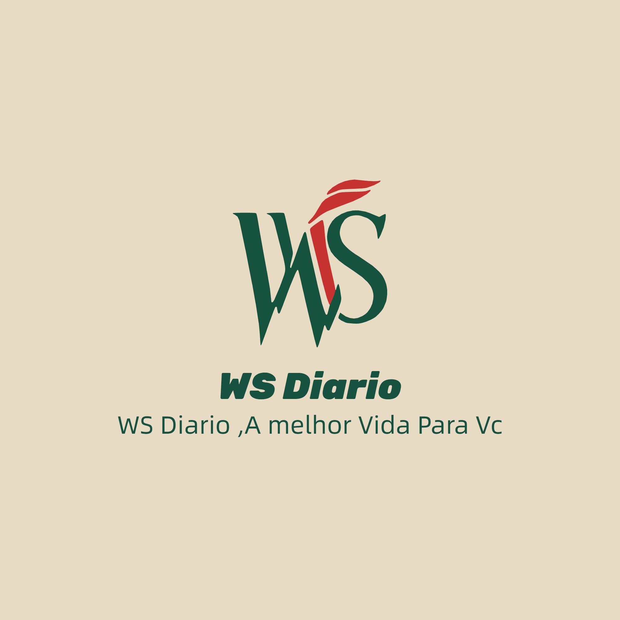 WS Diario