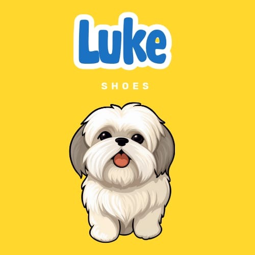 Luke_Shoes