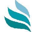 LUXSTAR PROFESSIONAL