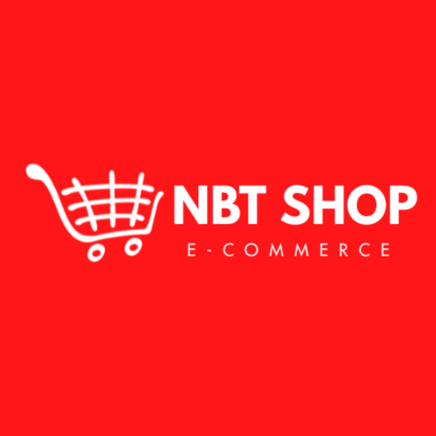 NBT STORE COMERCIAL LTDA