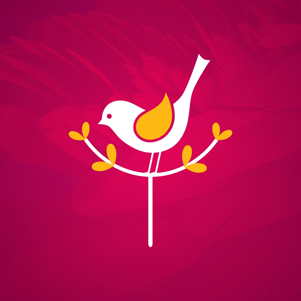 Reino das Aves Oficial