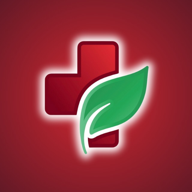 DROGARIA DAS PALMEIRAS