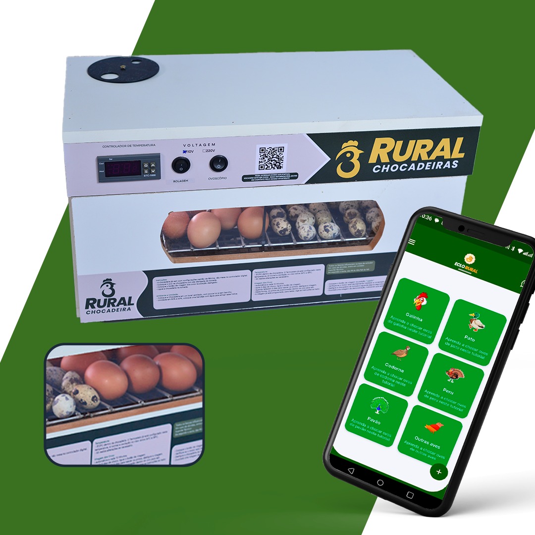 RURALCHOCADEIRAS