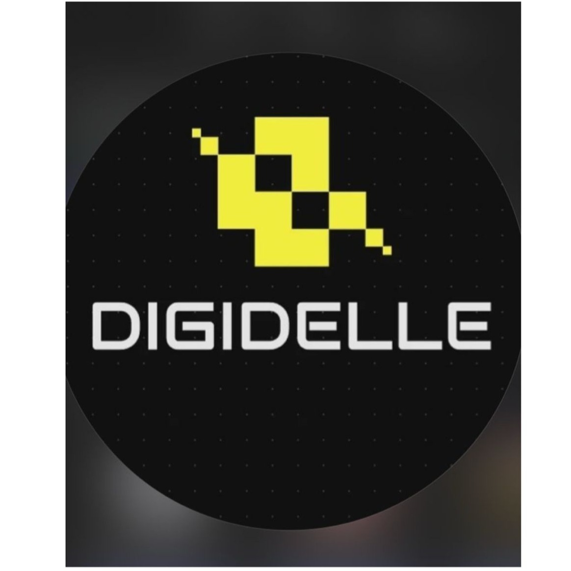 DIGIDELLE EXPOSITORES