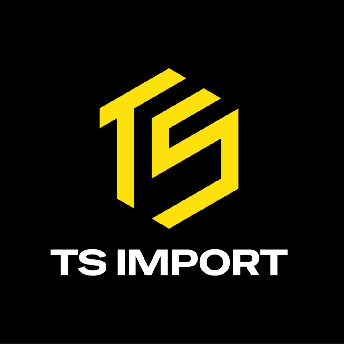 TS IMPORTS