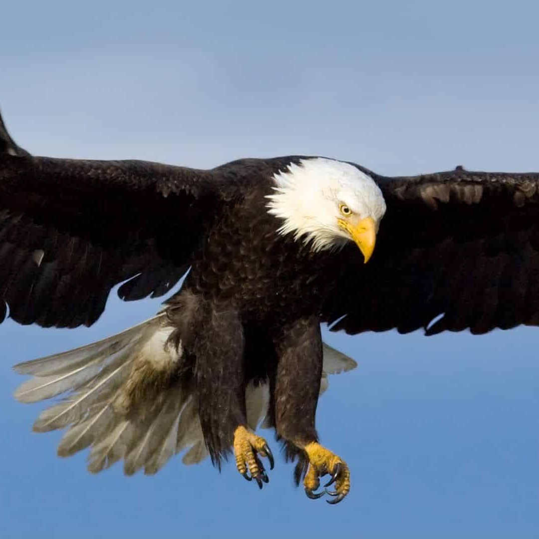 Loja Direta de Relógios Xufeng