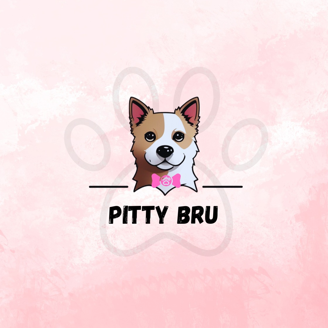 Pitty Bru - Acessórios Pet