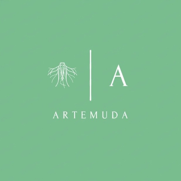 ArteMuda
