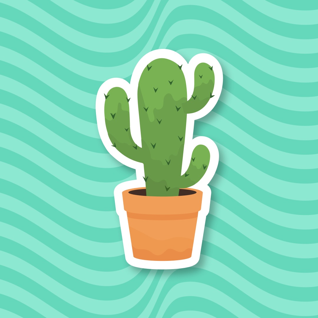 Cactus Store