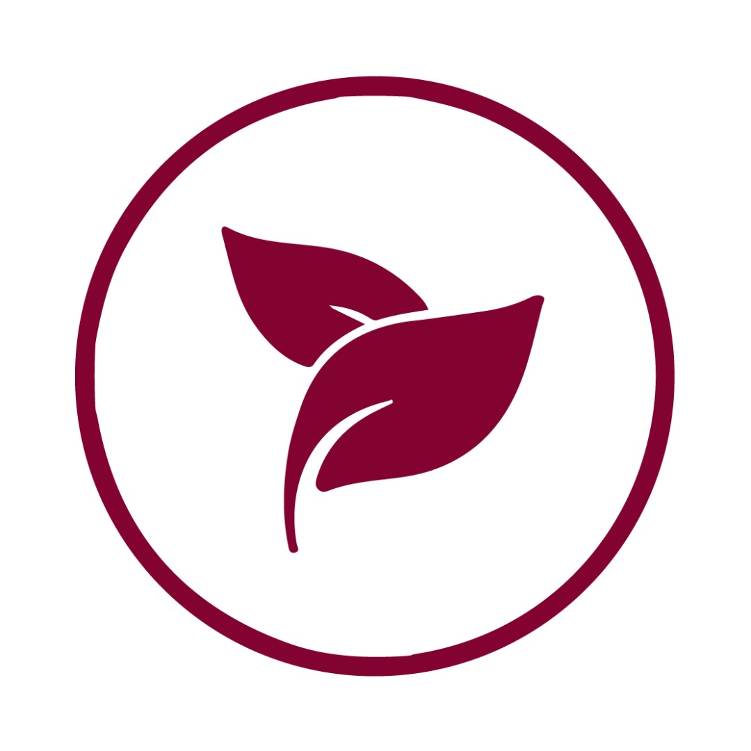 FÓRMULA DA TERRA