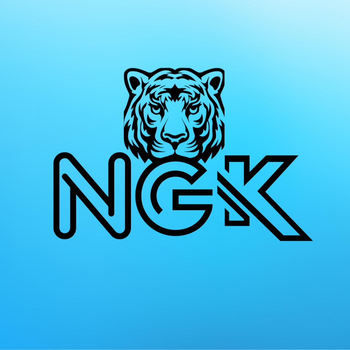 Ngk Store