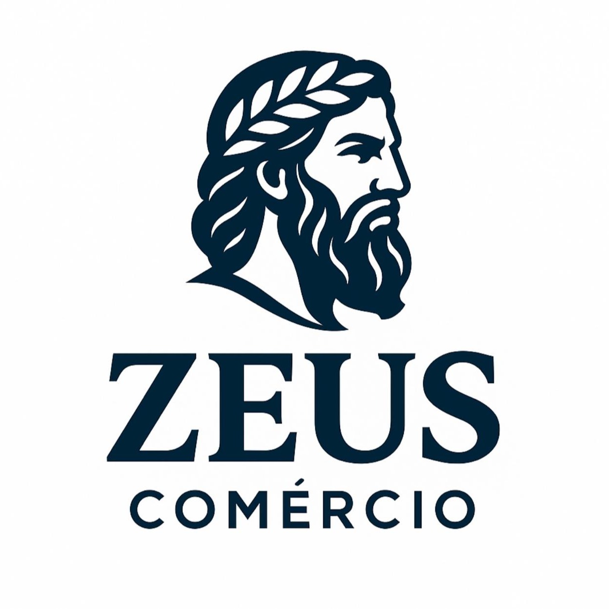 Zeus comércio e variedades