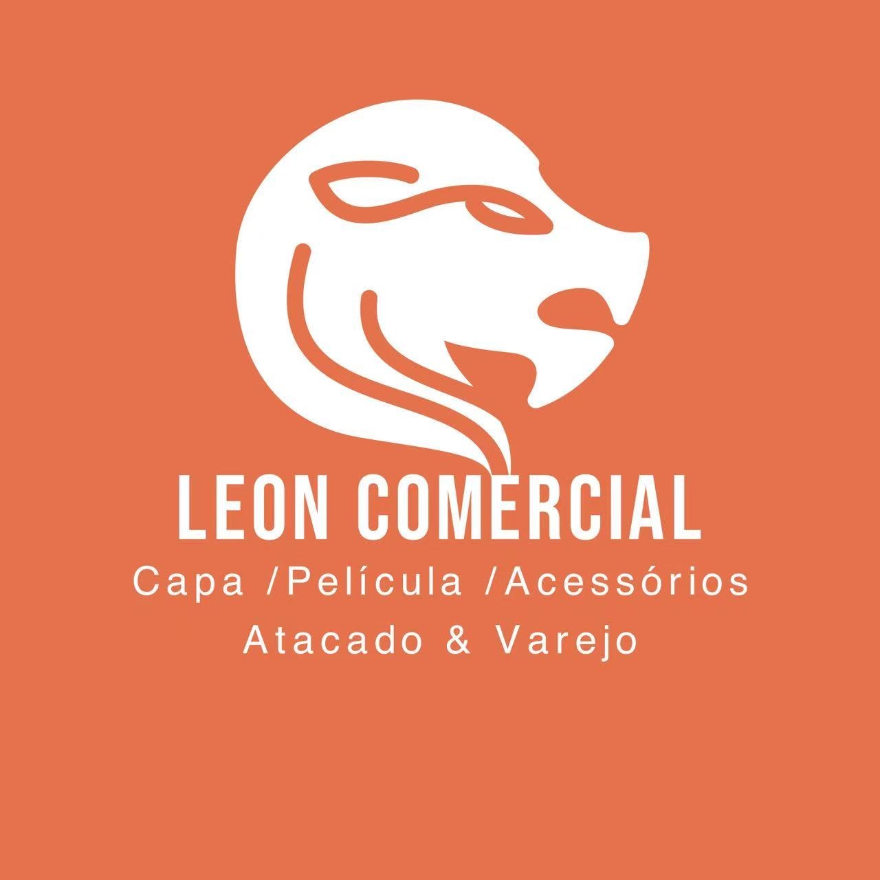 LEON COMERCIAL LTD