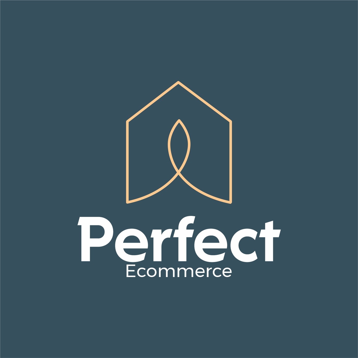 Perfect Ecommerce