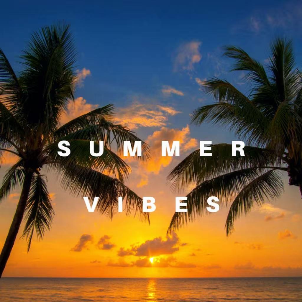 Vibe summer 