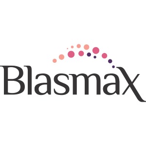 Blasmax Ltda