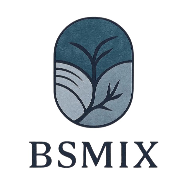 BSMIX 