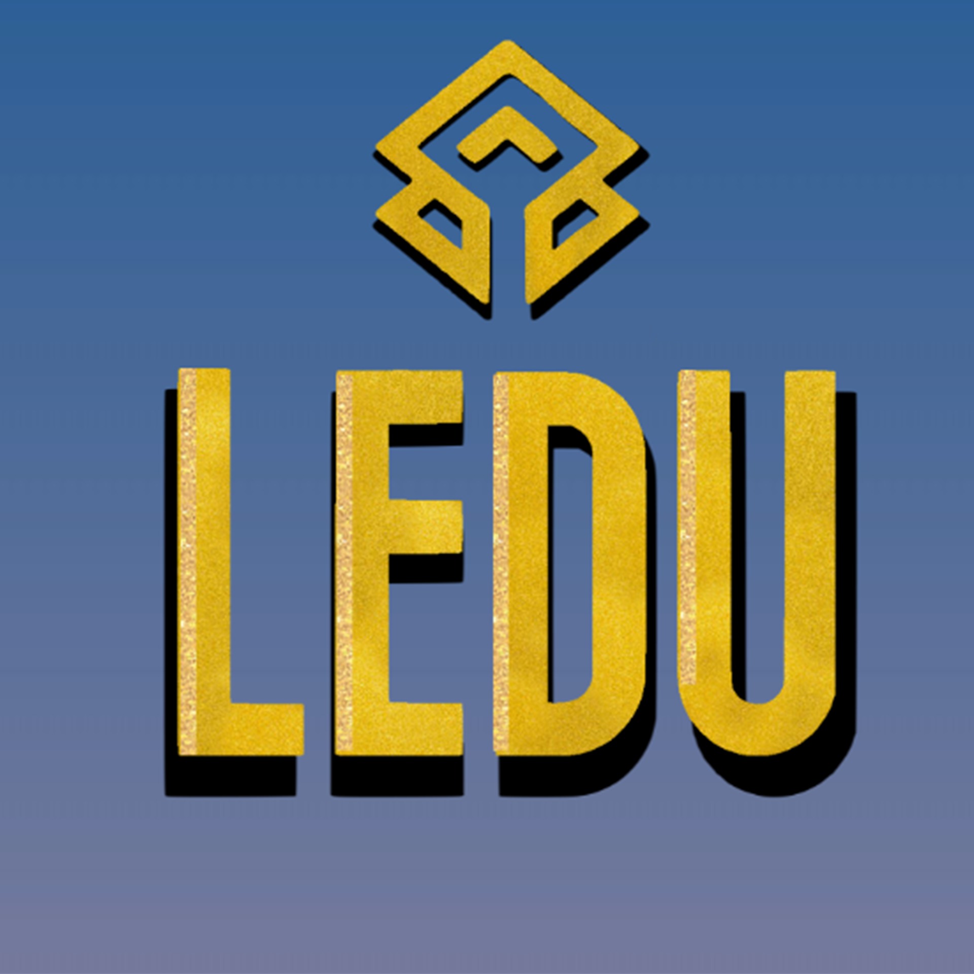 Ledu Store