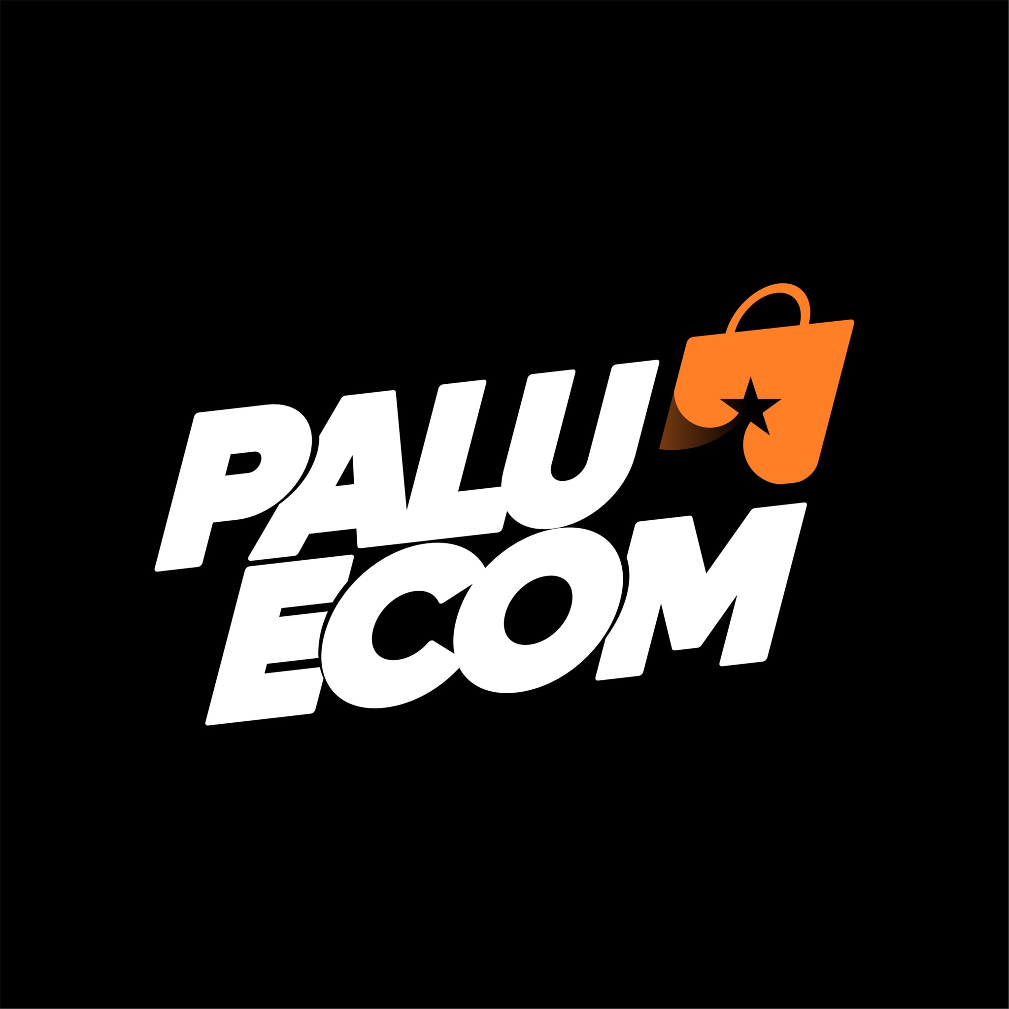 PALUECOM