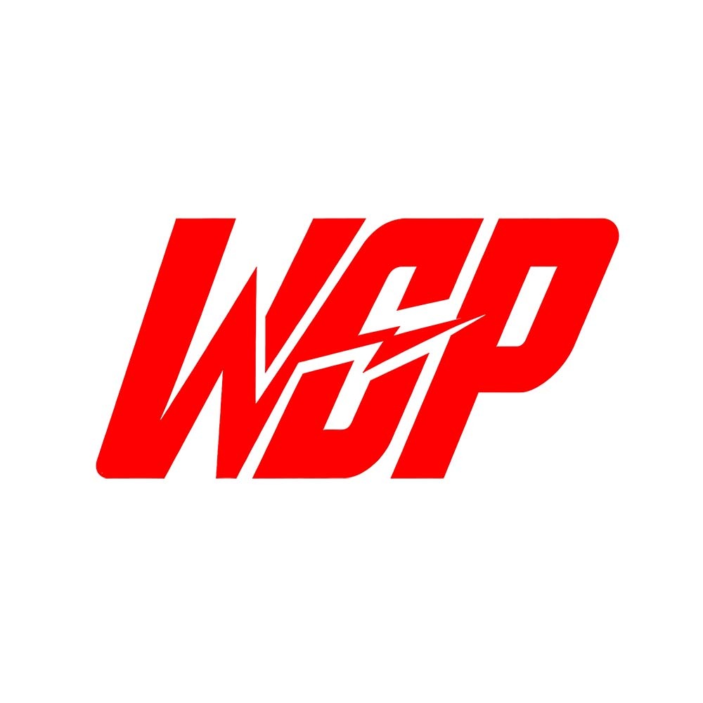 Imagem WGP Loja oficial