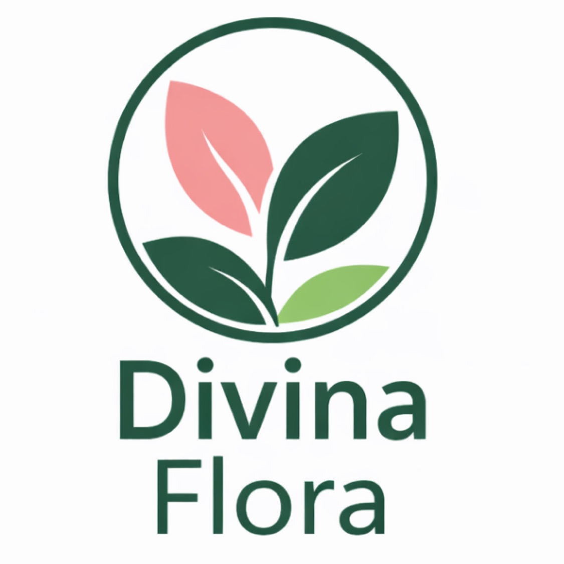 Loja Divina Flora