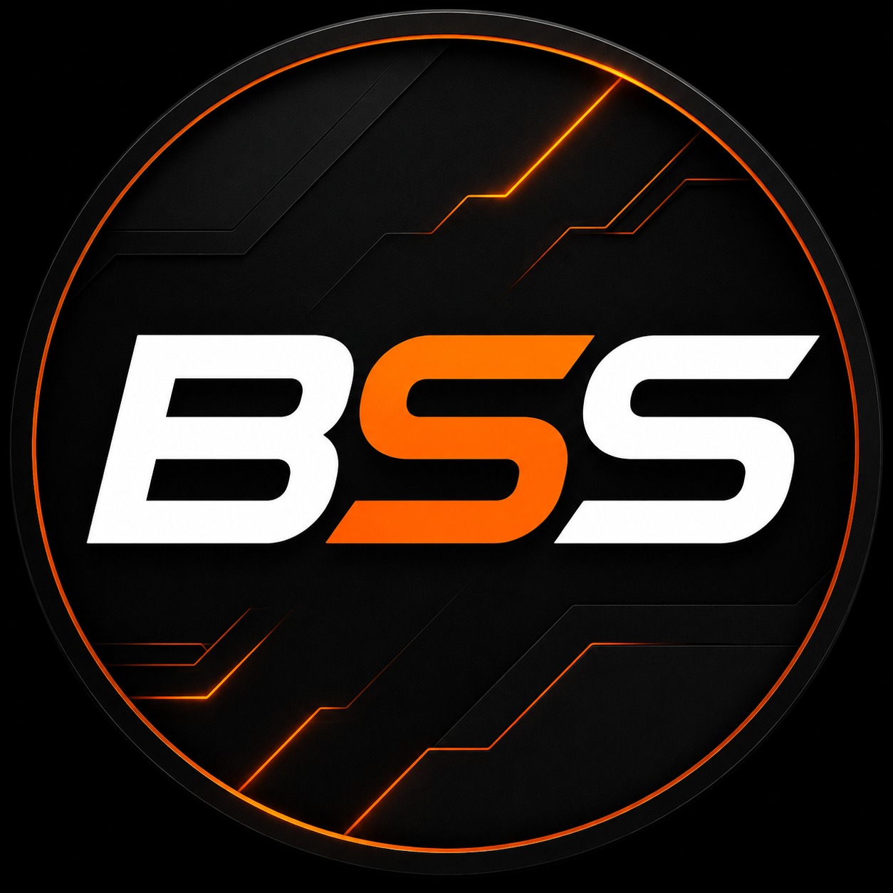 Bss  Variedades
