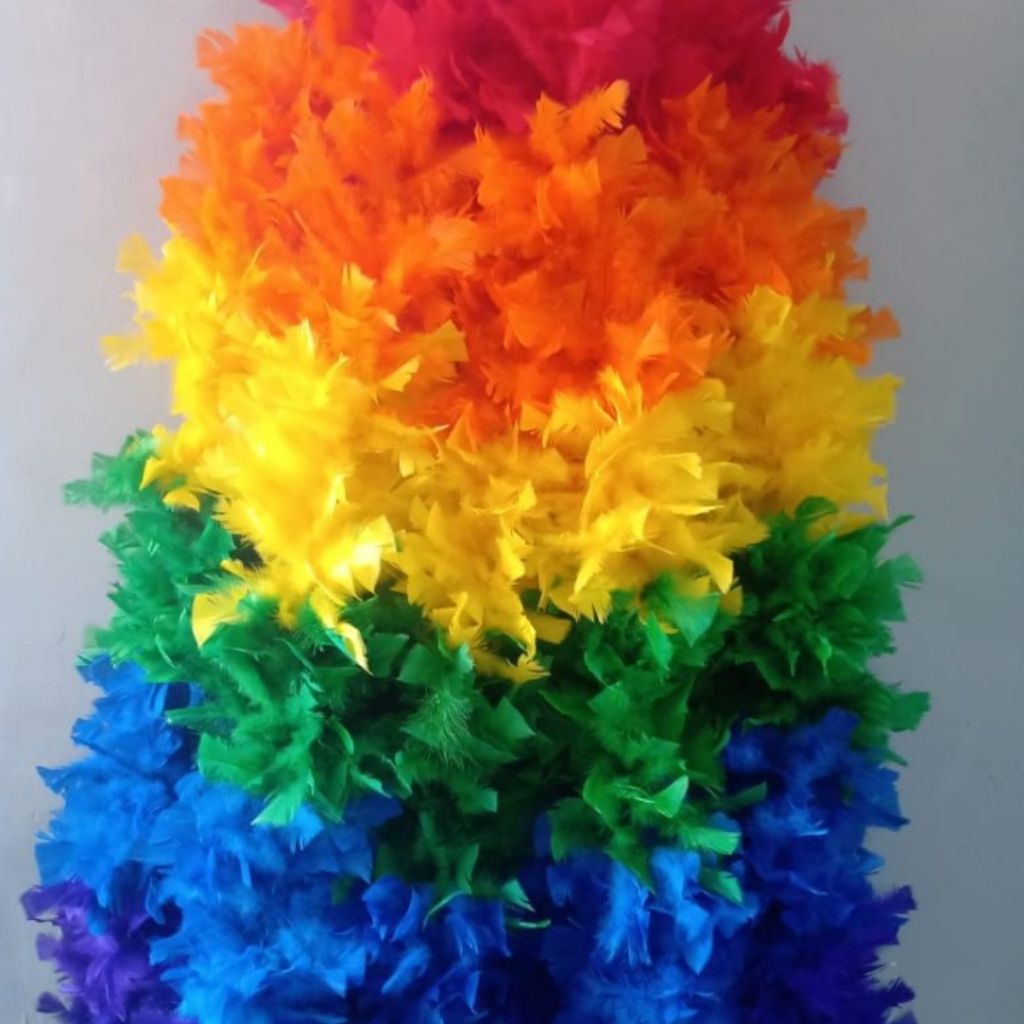 Silva Plumas e Festas