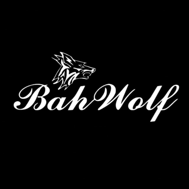 BAHWOLF COM IMP EXP ART PET LTDA