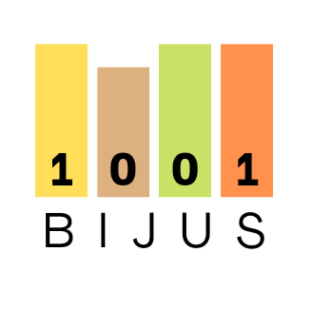 1001 BIJUS