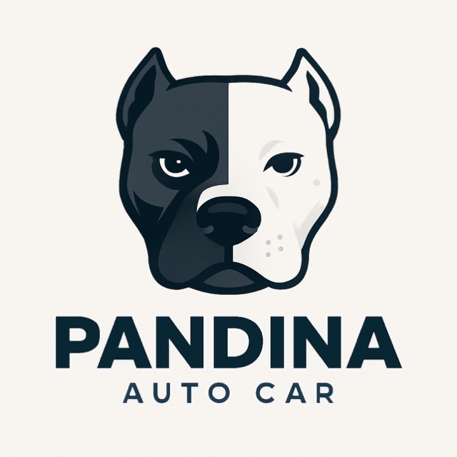 Pandina Auto Car