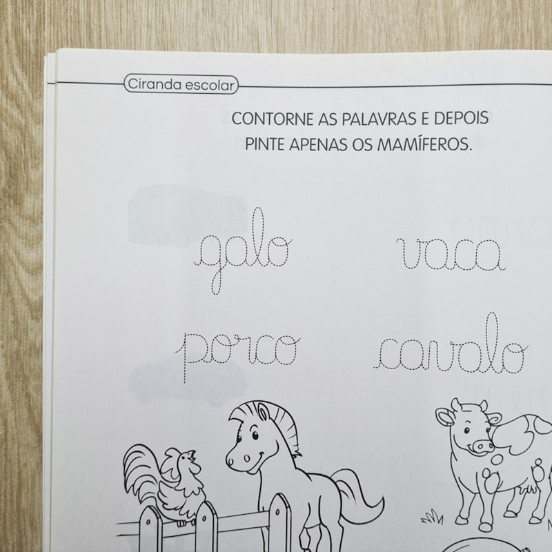 Detalhes do Livro Ciranda Escolar | Palavras | Caligrafia