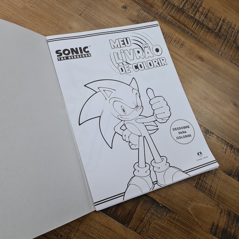 Detalhes do Meu Livrão de Colorir| Sonic