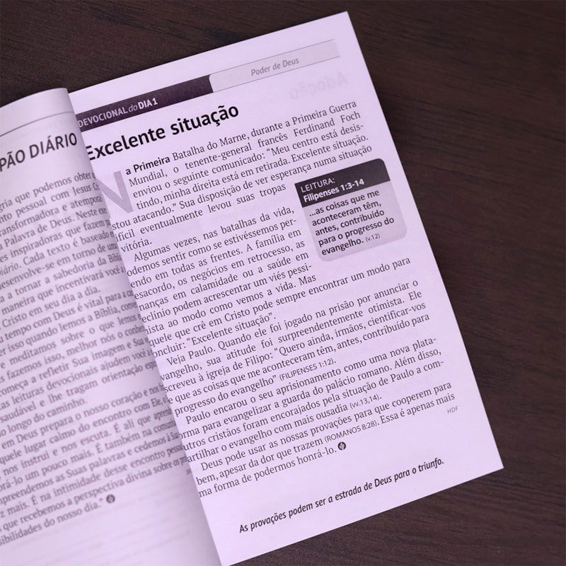 Devocional Pão Diário | Capa Leão de Judá · foto 2