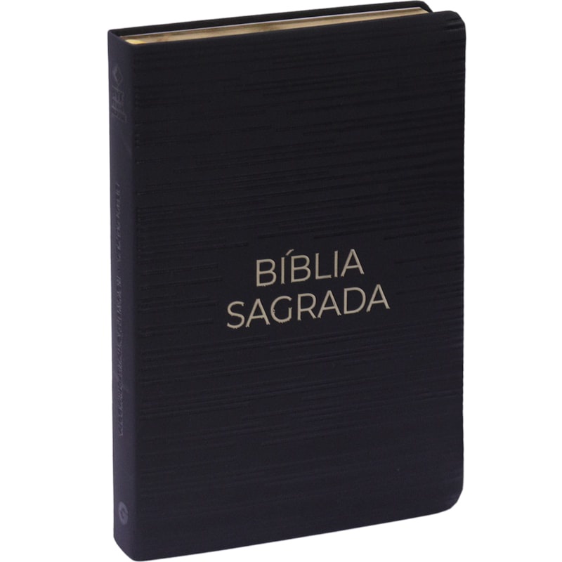 Bíblia Sagrada | NVT | Letra Gigante | Capa Luxo Preta em Oferta na Shopee