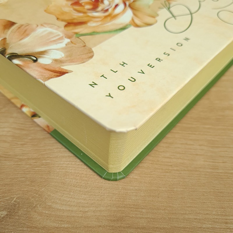 Detalhes do Bíblia Sagrada | NTLH | You Version | Letra Normal | Capa Dura Floral Rosé